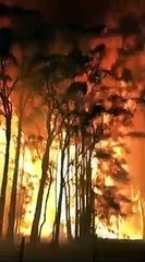 Rapidité de propagation d'un incendie (Australie)