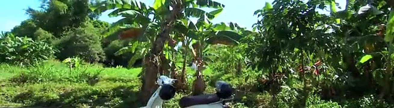 El Amor mas grande Capitulo 64 Completo El Amor mas grande Capitulo 64 Completo El Amor mas grande Capitulo 64 Completo