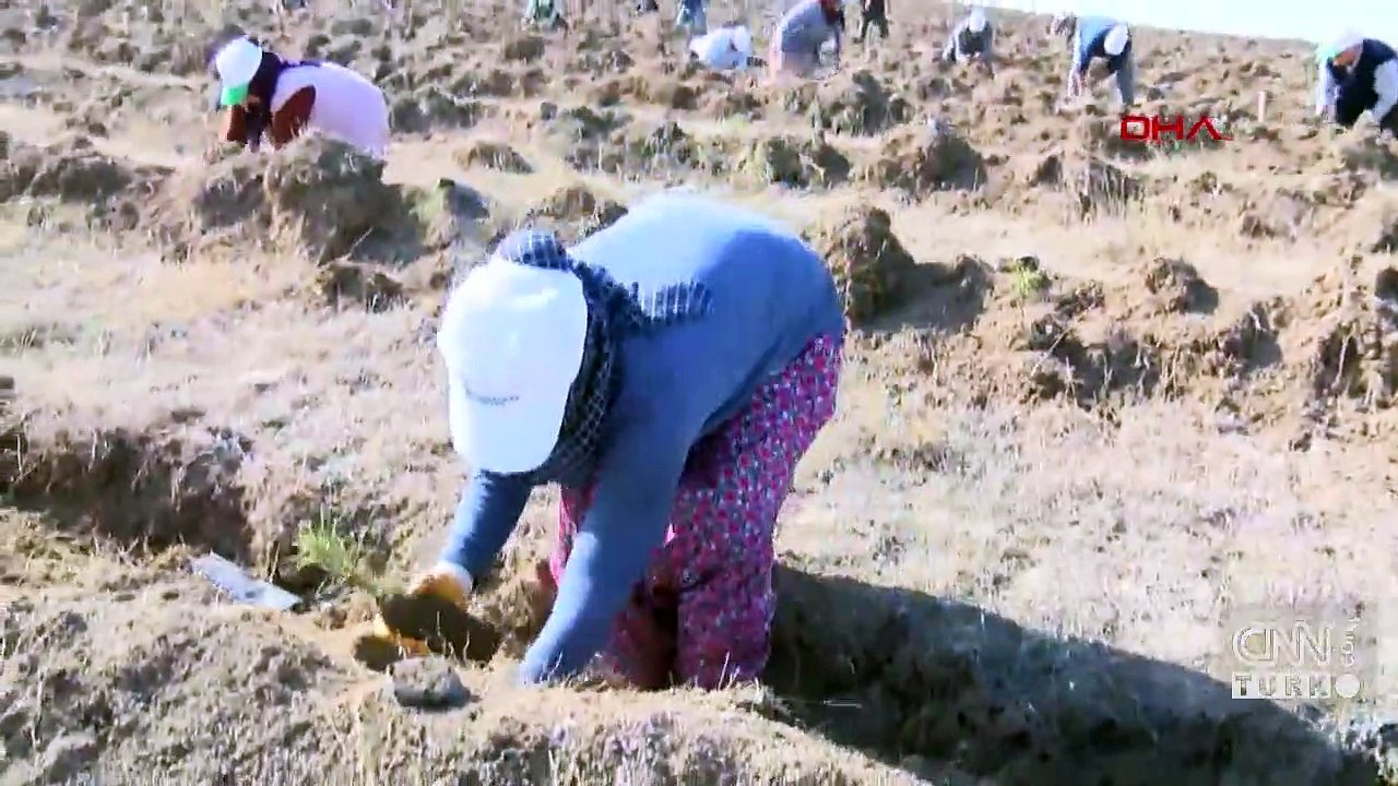 "82 milyon insana 82 milyon fidan"