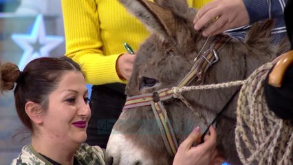 Al Pazar - Nastradin Bej vjen rruges per ne AlPazar - 2 Janar 2020 - Show Humori - Vizion Plus