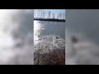 Edhe në Lushnje! Dita e Ujit të Bekuar, hidhet kryqi në Seman