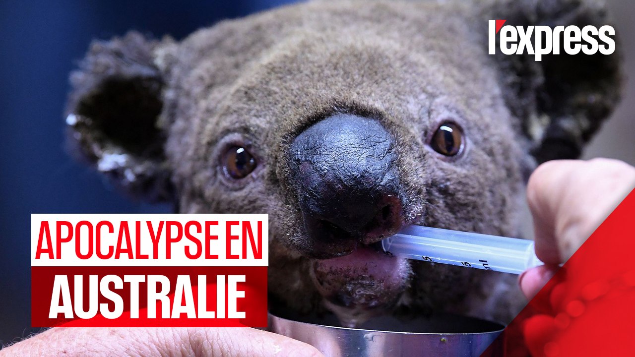 Incendies en Australie : des scènes d'apocalypse