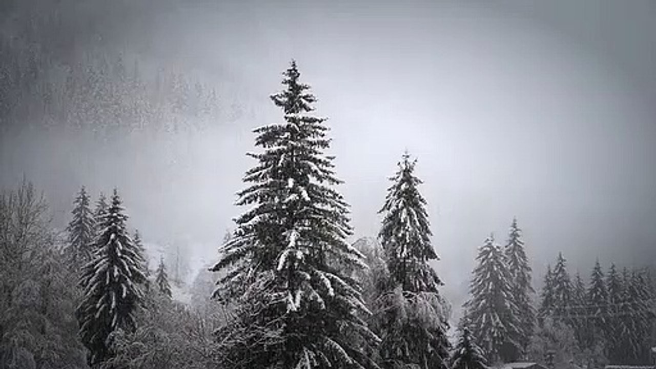 Snowfall - 2020 a view