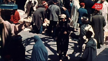 Albert Camus, l'icône de la révolte - Documentaire (04/01/2020)