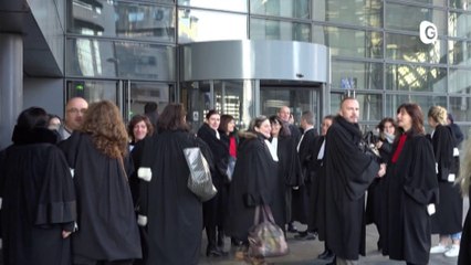 Avocats, Bibliothèque, Marion Haerty - 6 JANVIER 2020