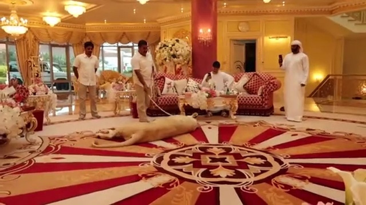 Visiting the Royal Family of Dubai !!!