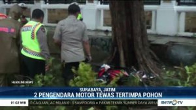 Dua Pengendara Motor Tewas Tertimpa Pohon di Surabaya