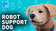 This robotic dog serves as an emotional support puppy — Strictly Robots