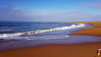 Les poilus à la plage janvier 20 suite