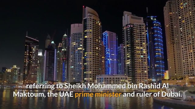 UAE launches multi-entry tourist visas for all