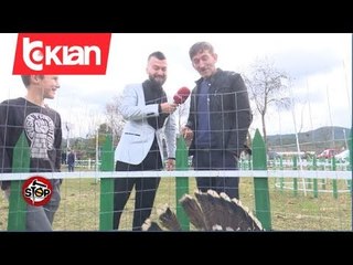 Stop - Tregu i gjelave te detit dhe shpjegimet e tregtareve per shpendin! (06 janar 2020)