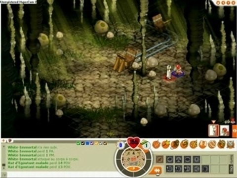 Dofus : Mon féca (1)