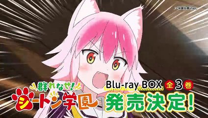 Murenase! Seton Gakuen Blu-ray CM PV