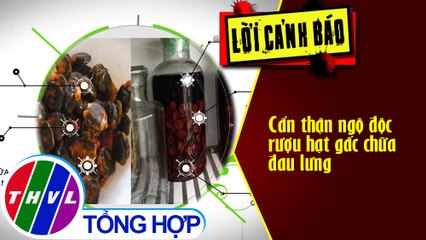 Cẩn thận ngộ độc rượu hạt gấc chữa đau lưng