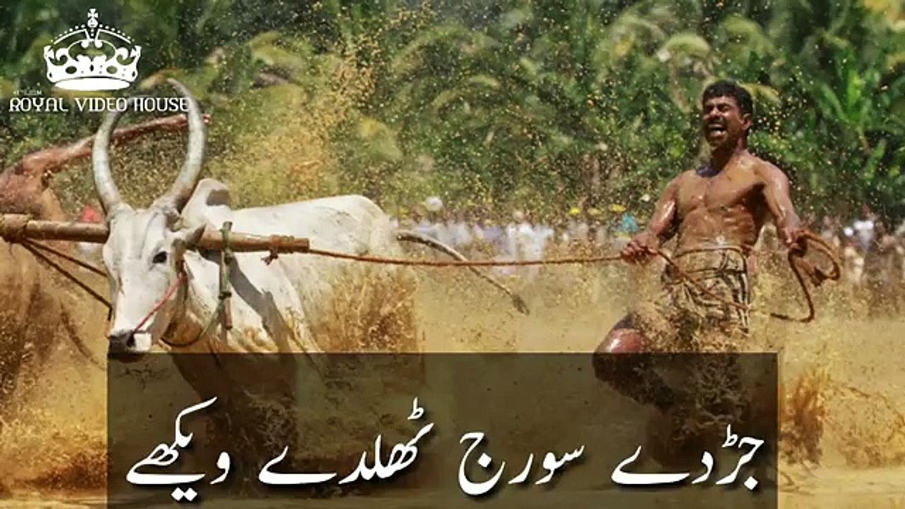 VID-20200106-WA0045