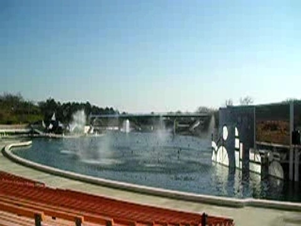 Fantaisie Aquatique 2008