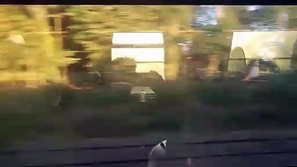 Correspondance Mélodrame Film