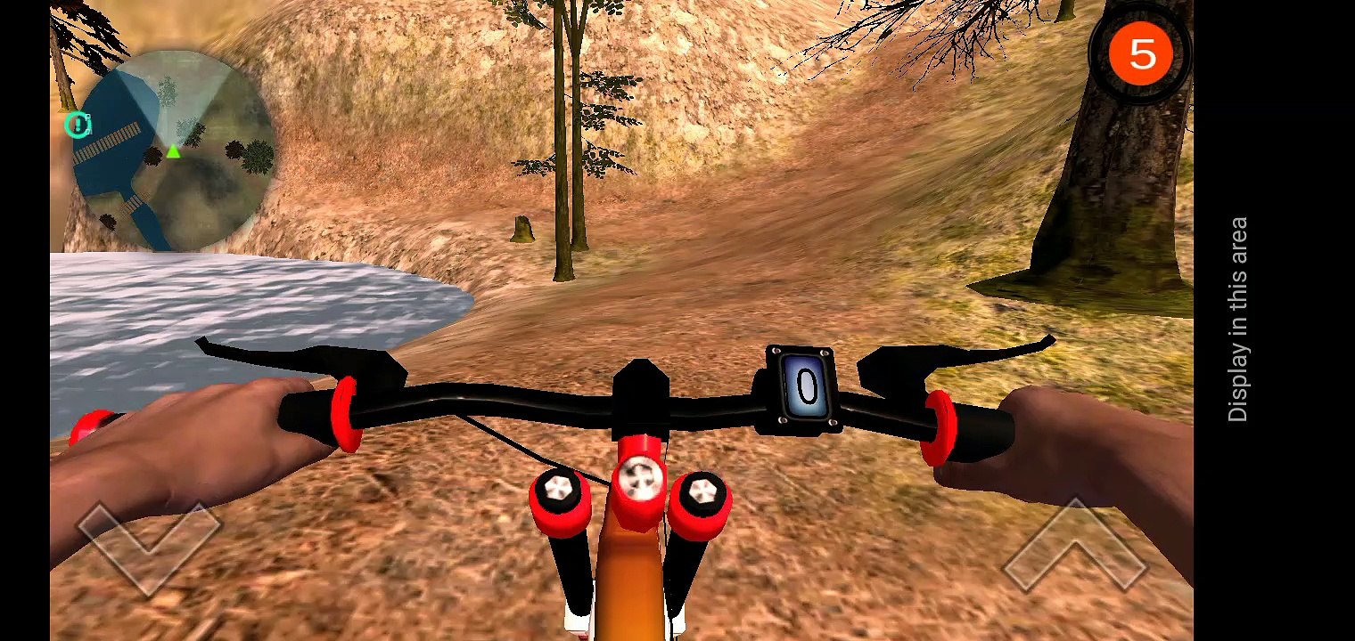 cycle racing games