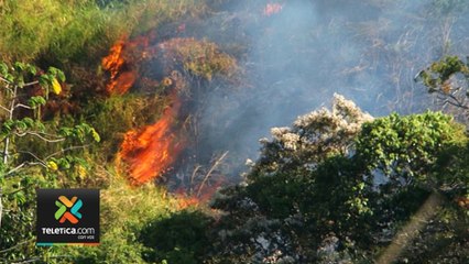 tn7-Bomberos piden evitar quemas de basura o charrales debido a fuertes vientos-060120