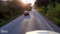 Wild Elephant Has To Be Ushered Off Road In Thailand