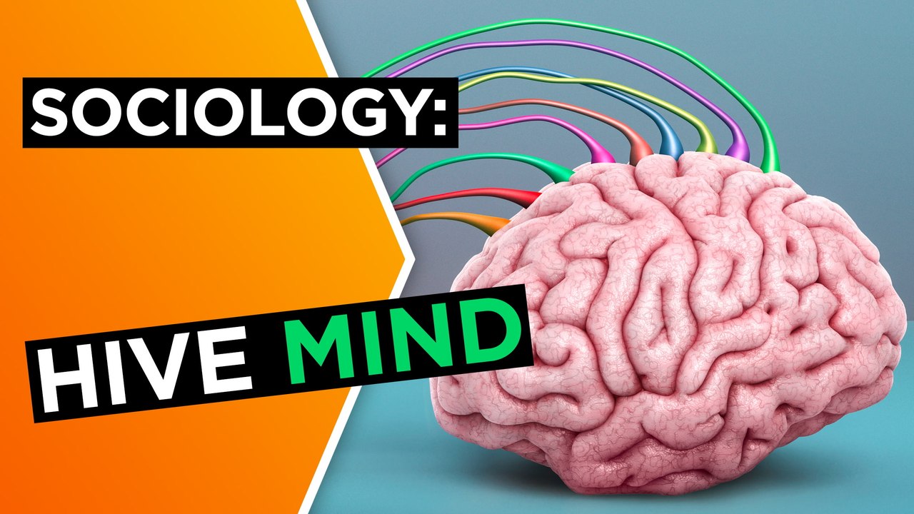 Hive mind: The good, the bad, and the viral