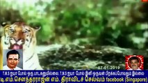 Old Is Gold (evergreen) Tm Soundararajan Legend Vol 47 Ayyappan Song