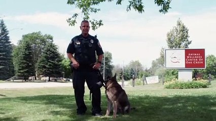 Animal Wellness Center Oak Creek: Silent Tour