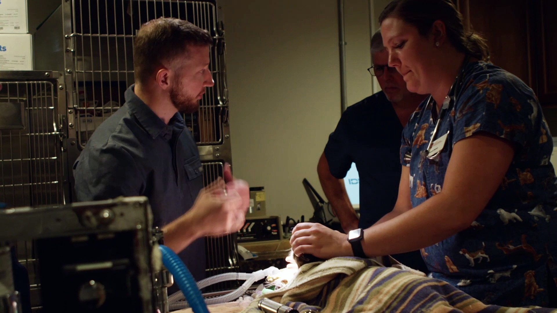 ⁣Animal Wellness Center: Veterinary Orthopedic Surgery