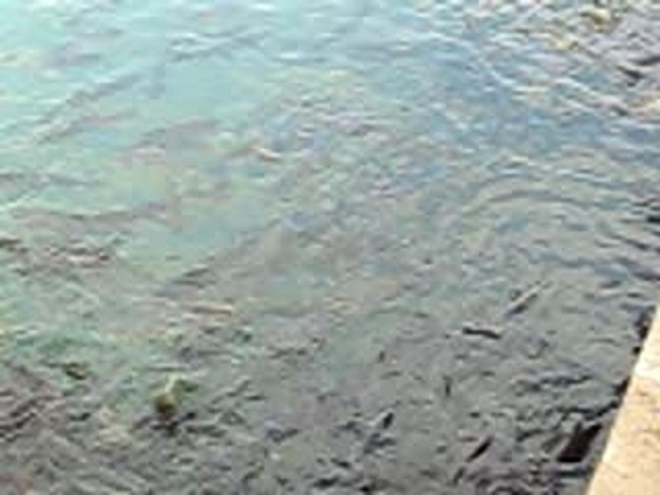 Damtiyeckimi Adiyaman'işa mokhtu