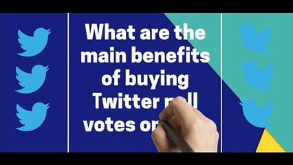 Reason to Buy Twitter Poll Votes Online