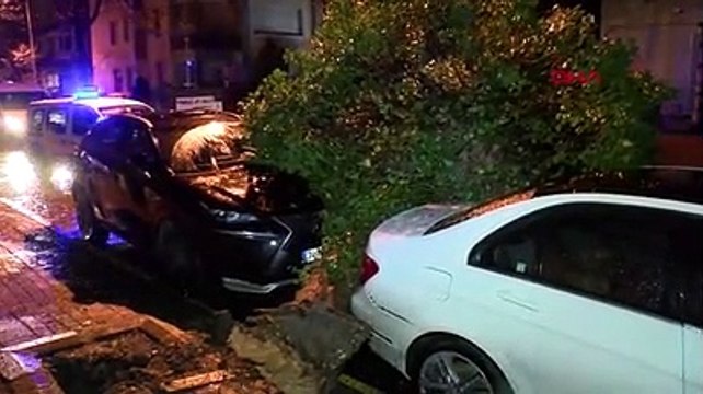 İstanbul’un fırtına ve sağanak bilançosu: 108 çatı uçtu, 128 ağaç devrildi, 61 su baskını oldu