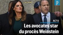 Affaire Weinstein : deux avocates au coeur du procès