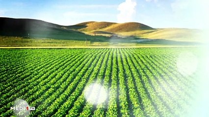 يوميات الفلاح - 07/01/2020