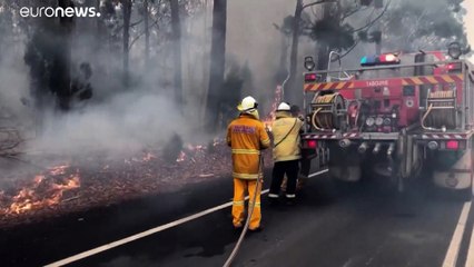 Isla de los Canguros, el paraíso australiano calcinado por las llamas