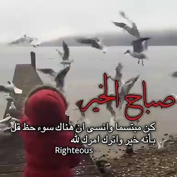 حالات واتس اب صباحية __ اترك كل شيء بيد الله فقط ❤ __ مقاطع انستكرام صباحية قص