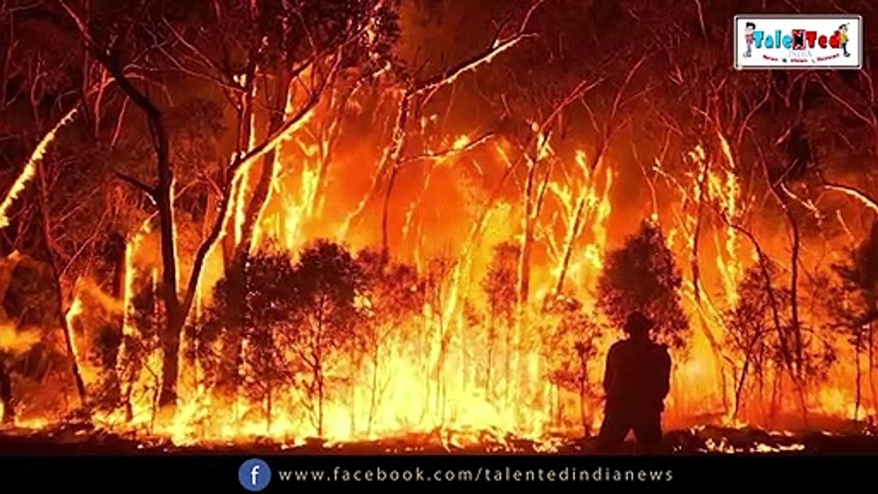 Australia Forests में लगी आग से आपको भी पसीना पसीना हो जाना चाहिए | Scott Morrison | Talented India