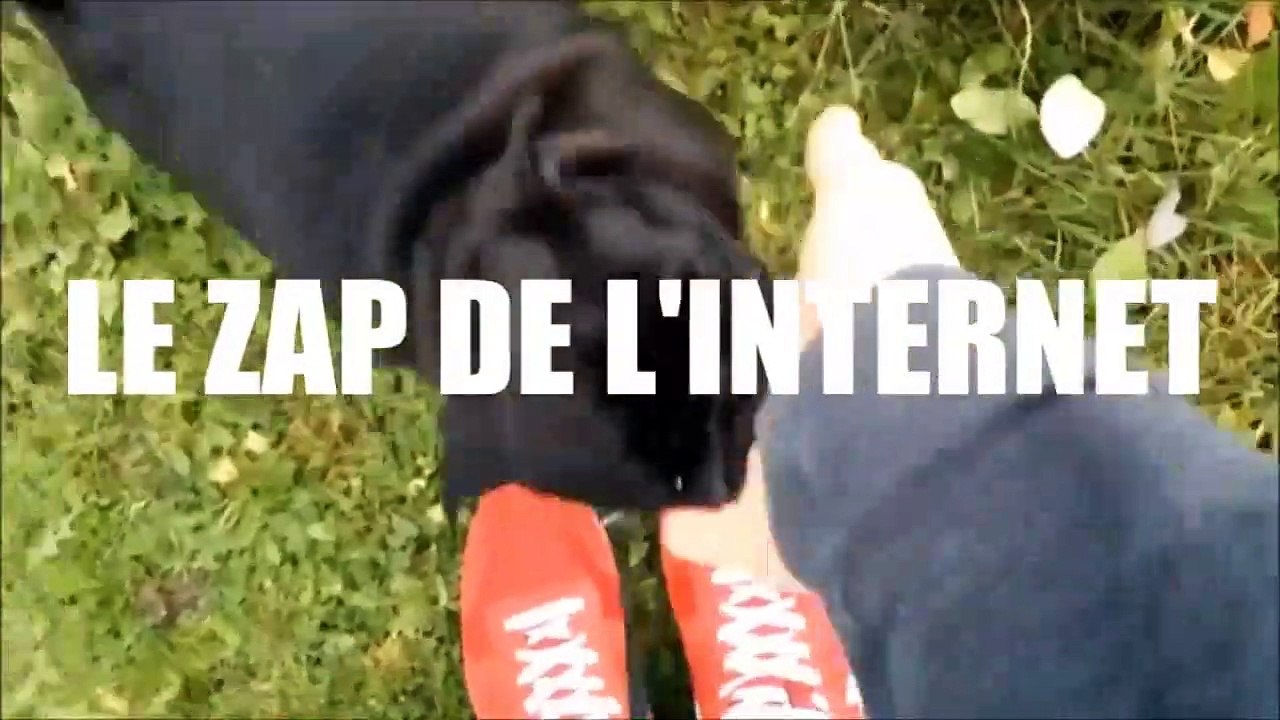 LE ZAP DE L INTERNET 8