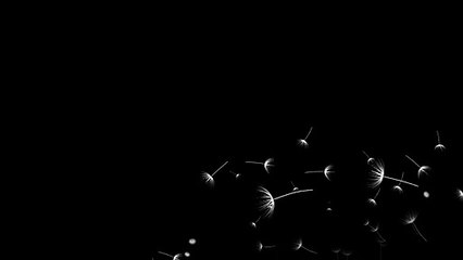 Black Screen  WhatsApp Status Background Video