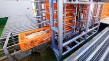 World Amazing Automatic Food Processing Machines Modern Food Processing Technology | Modern Ultra Ch