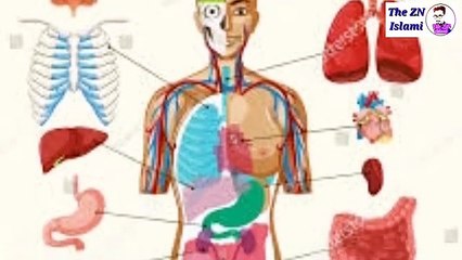 Islam_Mn_Dil_ki_Khatarnak_bemari_ka_tareeka_e_ilajj_100%C2%B0_._Garanty_k_Sath(360p)