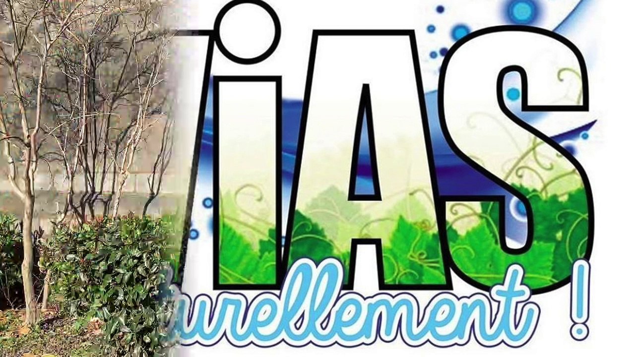 VIAS - Olivier Cabassut  avec Vias naturellement en réunion publique le vendredi 10 janvier 2020