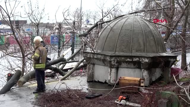 Beyoğlu'nda devrilen ağaç tarihi çeşmeye zarar verdi