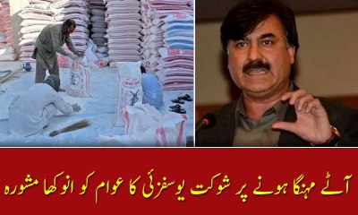 Info Minister KPK advised  peshawar peoples about flour price hike