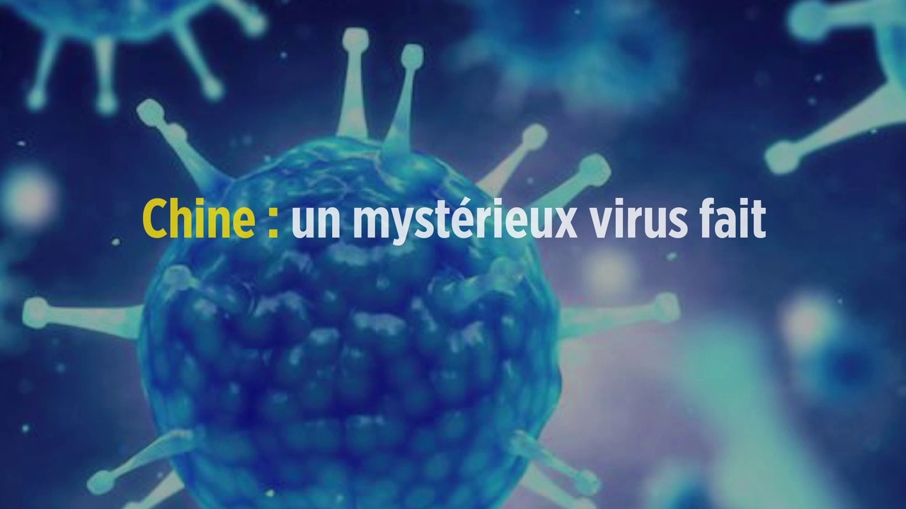 Chine : un mystérieux virus fait trembler l'Asie
