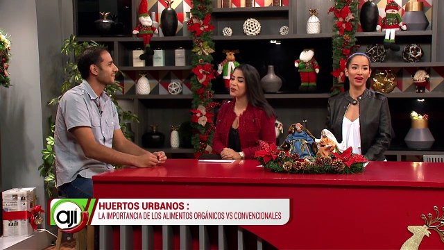 Hueros urbanos |La importancia de los alimentos organicos vs. convencionales - Nex Panamá