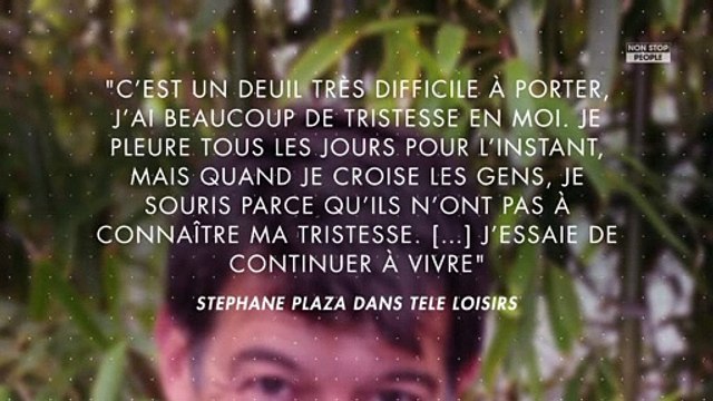 Stéphane Plaza : comment il a surmonté le décès de sa mère