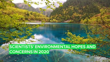Scientists around the world have big dreams for our planet in 2020