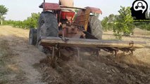 Massey tractor operate cultivator | cultivator