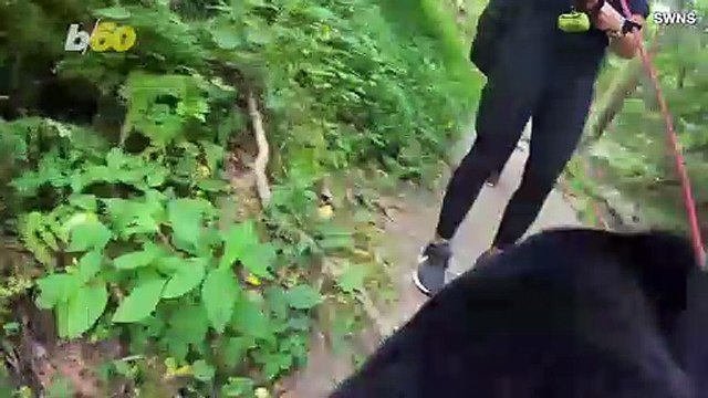 POVpup Is the Instagram That Lets You See the World Through a Dog’s Eyes