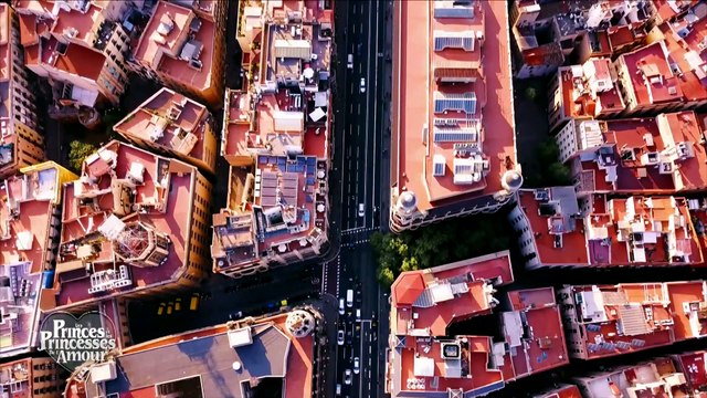 AVANT-PREMIERE: Découvrez le nouveau prégénérique des Princes et princesses de l'amour qui sera diffusé dès ce soir sur W9